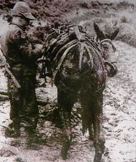 Alpine trooper and mule