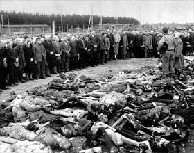 Ohrdruf forced labor camp: Germans view Ohrdruf dead 2