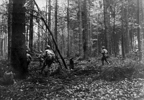 Battle of Schmidt Huertgen Forest: 110 Infantry Regiment north of Schmidt