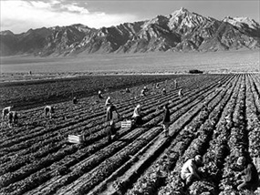 Manzanar farm workers and Mt. Williamson, Ansel Adams Manzanar farm workers and Mt. Williamson, Ansel Adams
