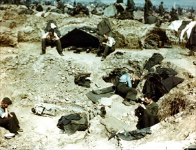 Rhine Meadow Camp Sinzig May 1945b Rhine Meadow Camp Sinzig May 1945b